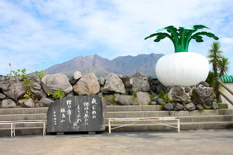 旅の駅桜島 桜島物産館の桜島大根の大きな大きなオブジェ