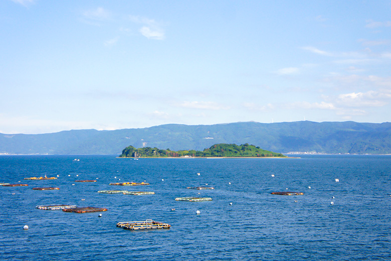 新島（燃島）の画像