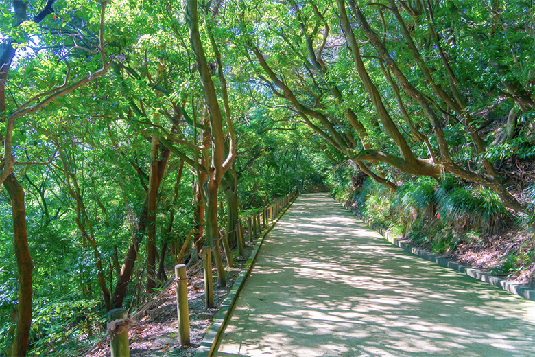 城山自然遊歩道