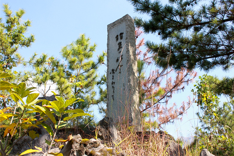 高浜虚子が桜島を詠んだ句碑