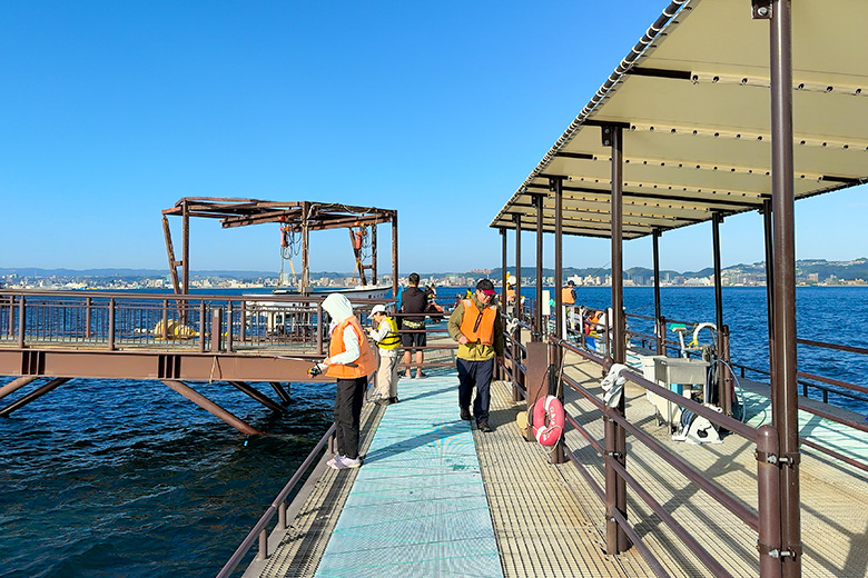 桜島海づり公園