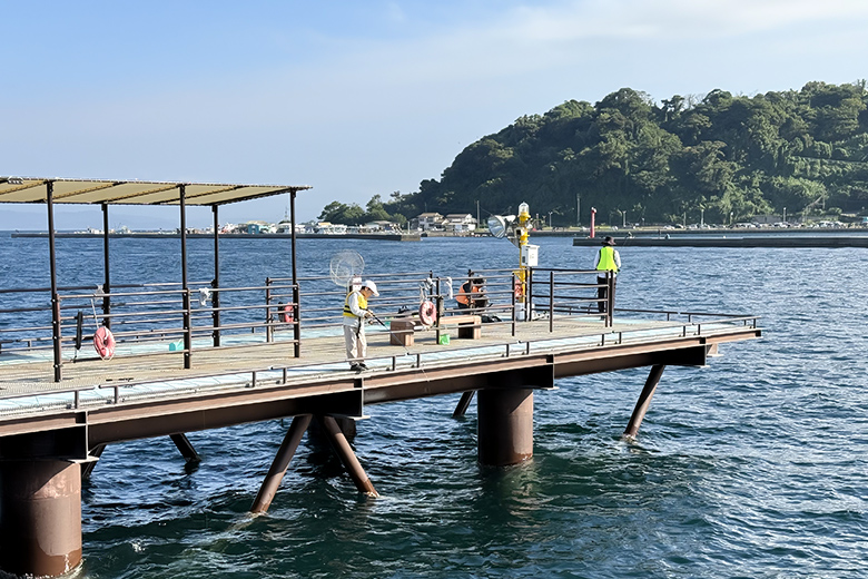 桜島海づり公園