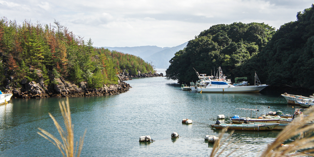 塩屋ヶ元港