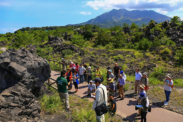 桜島火山ガイドウォーク