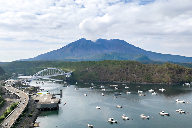 牛根大橋